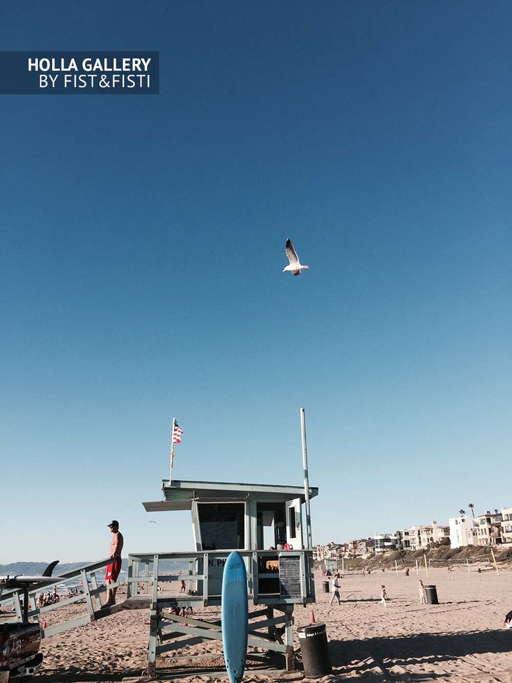 Побережье Калифорнии. Venice, Santa Monica. Спасательная вышка, доска для серфинга и чайка