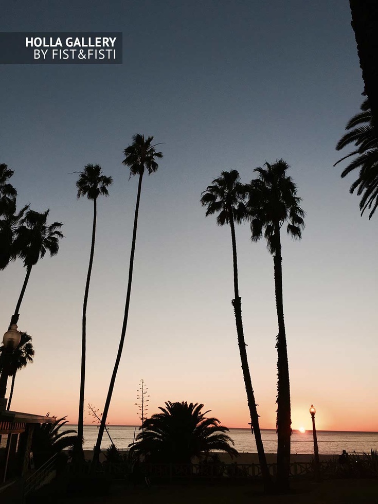 Пальмы на закате в Santa Monica, Лос-Анджелес