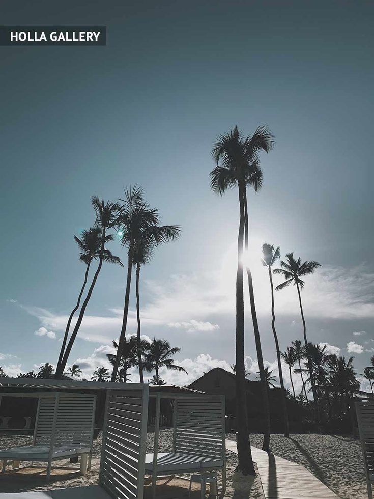 Пальмы Доминиканы на фоне солнца