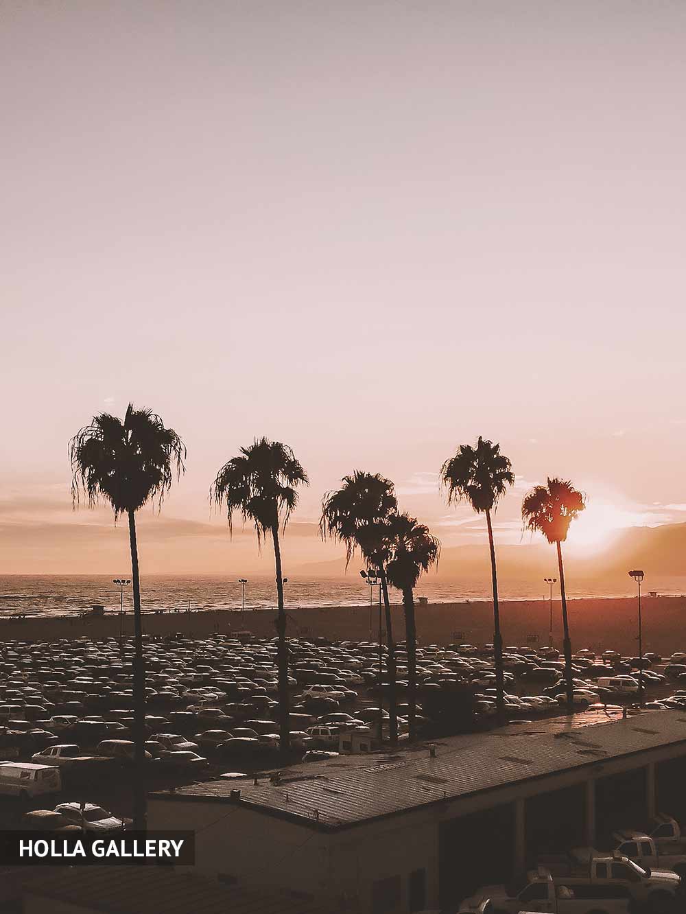 Пальмы на фоне заката пляжа Санта-Моника